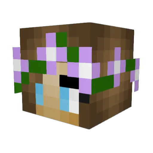 awonder Minecraft avatar head, 3D render