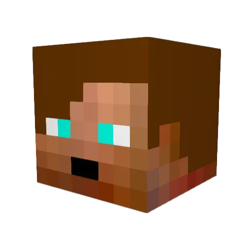 awoodenplank Minecraft avatar head, 3D render