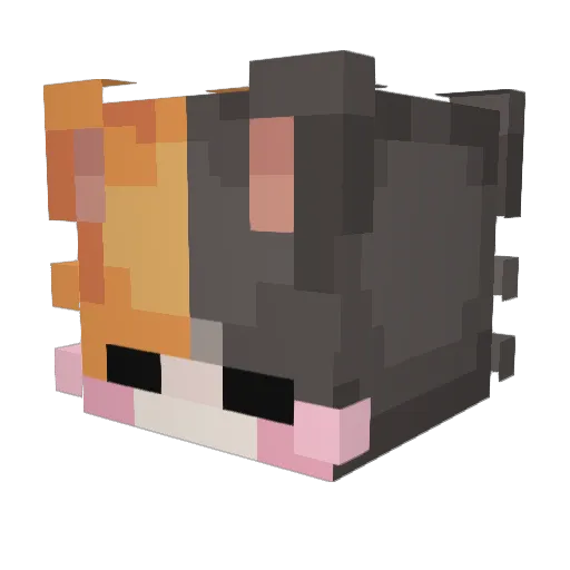 awroo Minecraft avatar head, 3D render