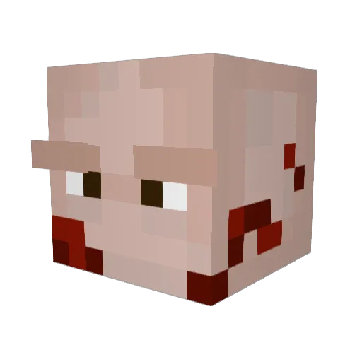 awsomeboy223344 Minecraft avatar head, 3D render