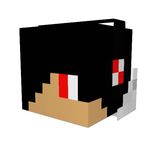 awsomeface605 Minecraft avatar head, 3D render