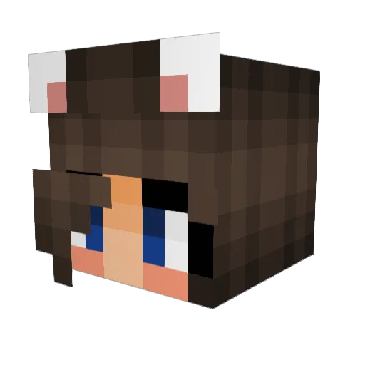 awuuhoo Minecraft avatar head, 3D render