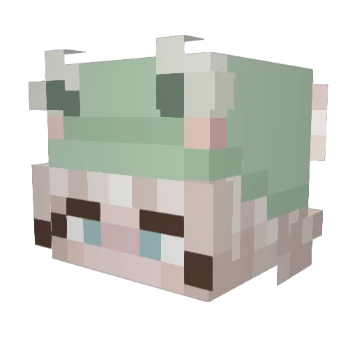 awwa98 Minecraft avatar head, 3D render