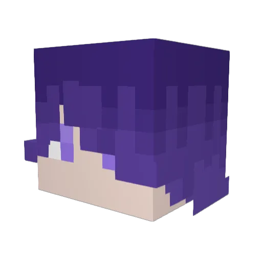 awwi2 Minecraft avatar head, 3D render