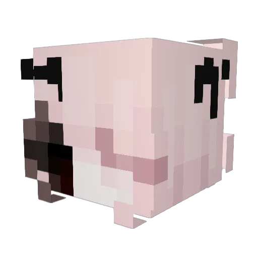 awwwianna Minecraft avatar head, 3D render