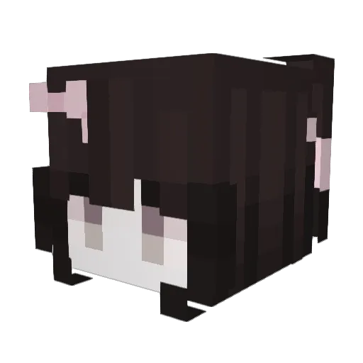 awx3 Minecraft avatar head, 3D render