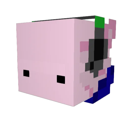 ax0LOT0 Minecraft avatar head, 3D render