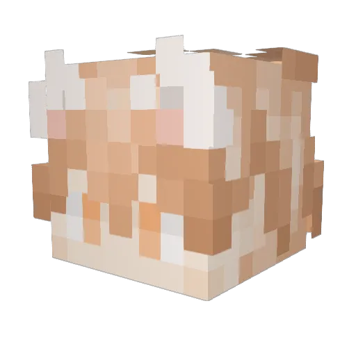 ax520z Minecraft avatar head, 3D render
