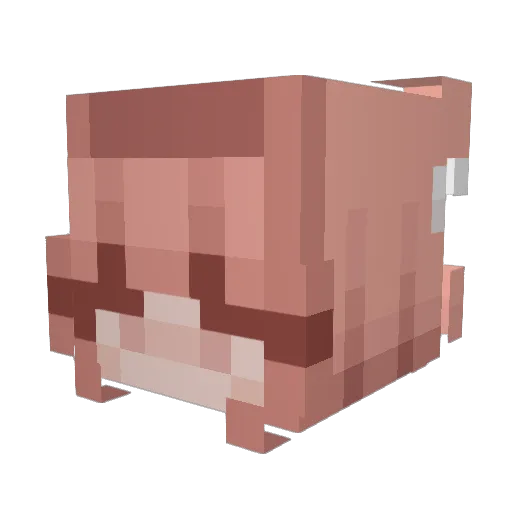 axaluvv Minecraft avatar head, 3D render
