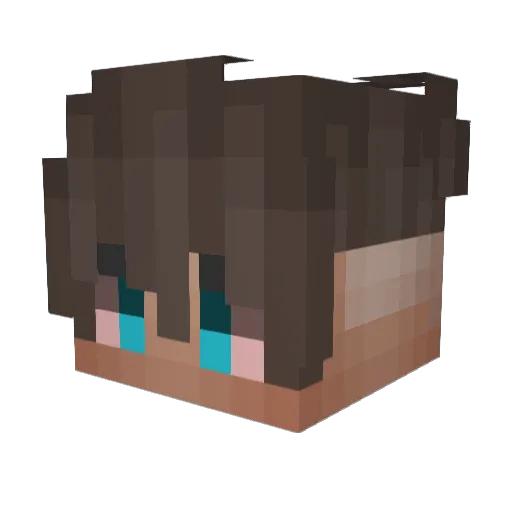axeldupouy Minecraft avatar head, 3D render
