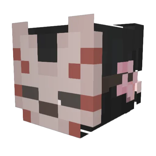 axelschweis69 Minecraft avatar head, 3D render