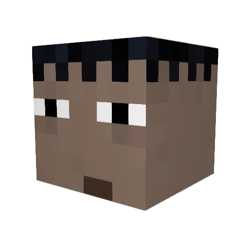 axiotek65 Minecraft avatar head, 3D render