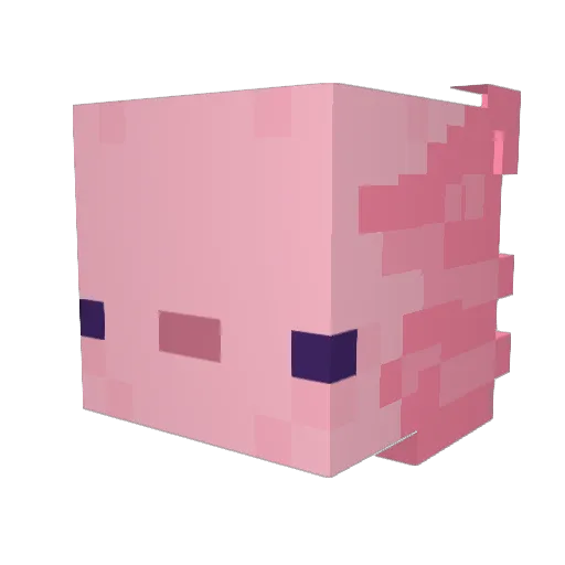 axolotlMan9 Minecraft avatar head, 3D render