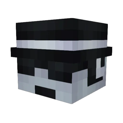 axolotlboy2016 Minecraft avatar head, 3D render
