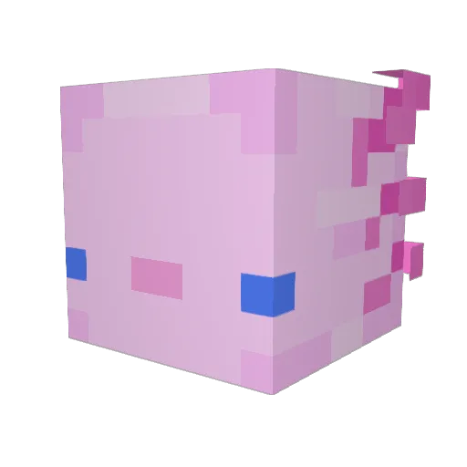 axoman1212 Minecraft avatar head, 3D render