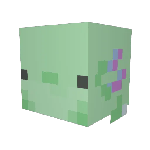 axopollo Minecraft avatar head, 3D render