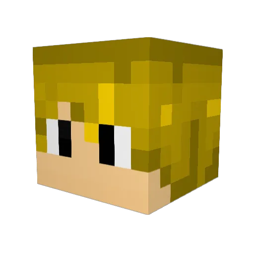 axou2014 Minecraft avatar head, 3D render