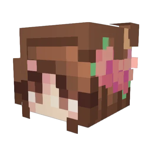axtrobreeze Minecraft avatar head, 3D render