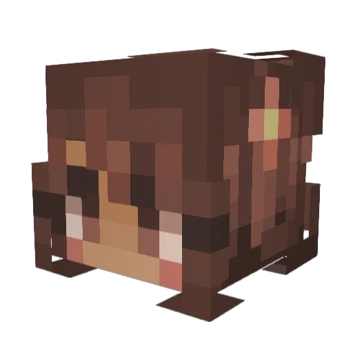 ayadwahed Minecraft avatar head, 3D render