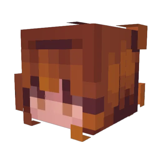 ayahmeow Minecraft avatar head, 3D render