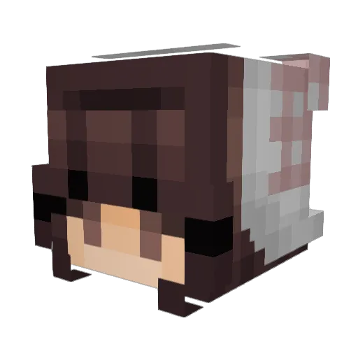 ayaki0 Minecraft avatar head, 3D render