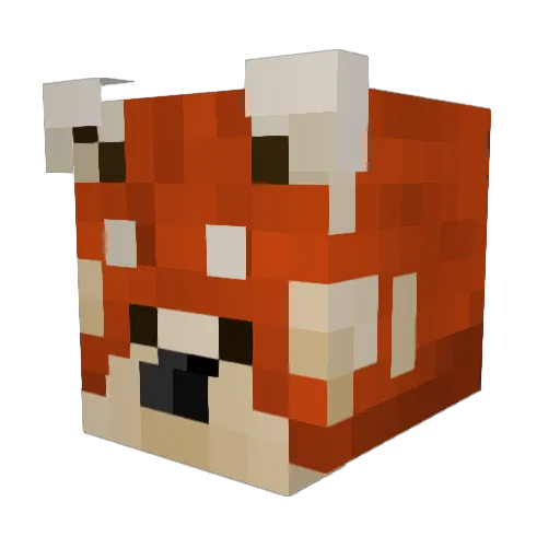 ayanom Minecraft avatar head, 3D render