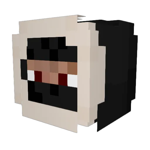 ayatoch Minecraft avatar head, 3D render