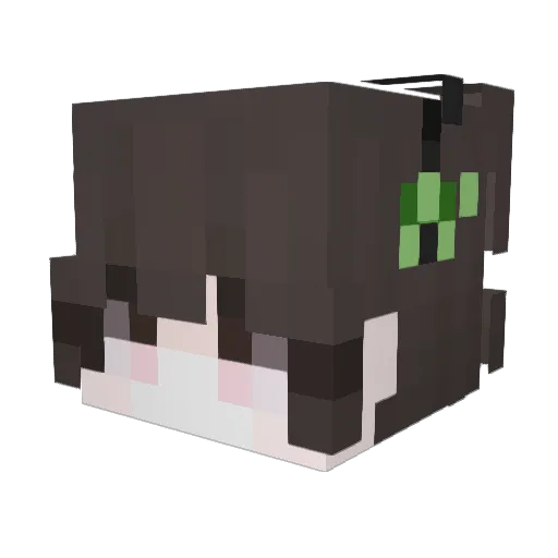 ayberk22222 Minecraft avatar head, 3D render