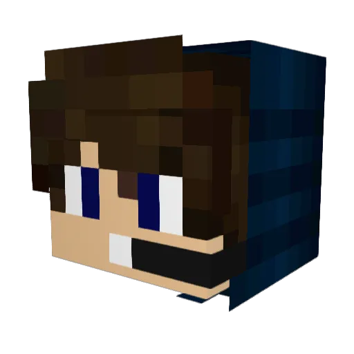 aydanpro1234 Minecraft avatar head, 3D render