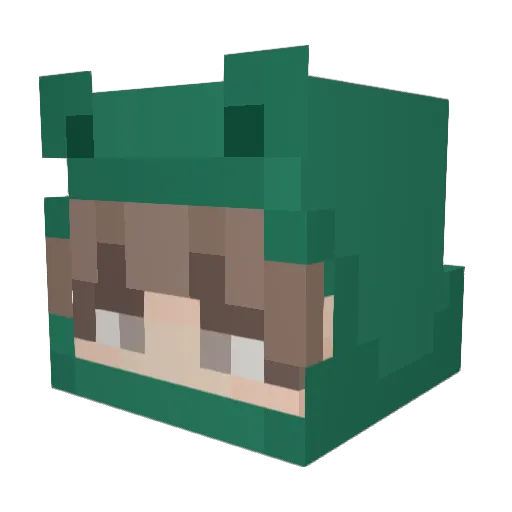 aydenwasheree Minecraft avatar head, 3D render