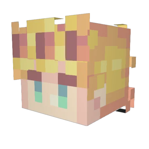 aye_nus Minecraft avatar head, 3D render