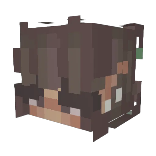 ayeff2 Minecraft avatar head, 3D render