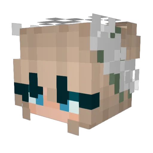 ayeitsleah Minecraft avatar head, 3D render