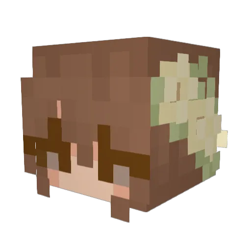 ayerszs Minecraft avatar head, 3D render