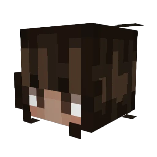 ayeshmoney Minecraft avatar head, 3D render