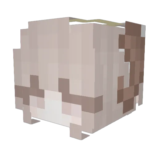 Minecraft-Avatar von aygo2: Kopf als 3D-Render