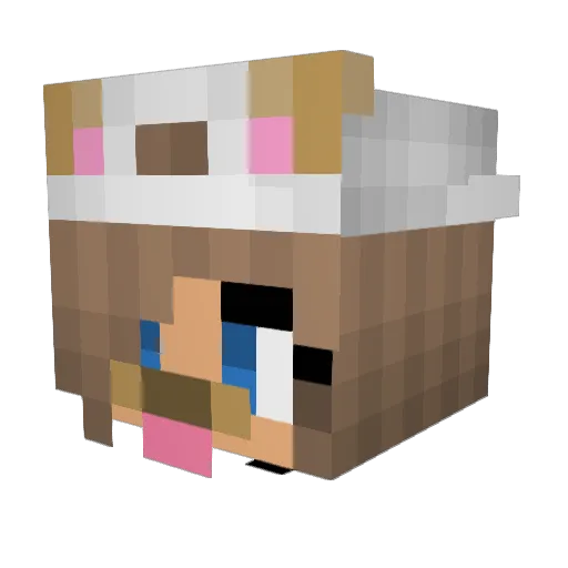 ayiana136 Minecraft avatar head, 3D render