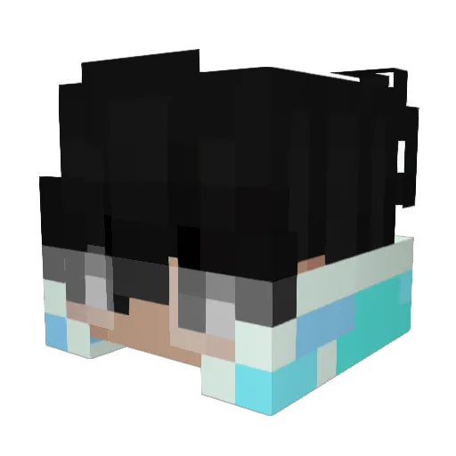 ayinsetx Minecraft avatar head, 3D render