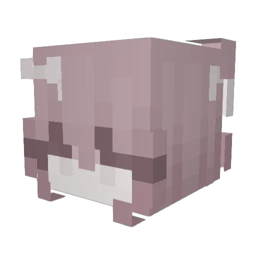 ayiru Minecraft avatar head, 3D render