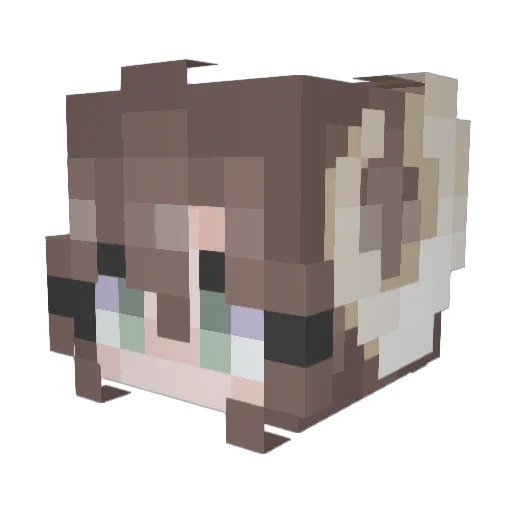 aykle Minecraft avatar head, 3D render