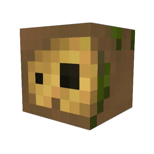 aykut201 Minecraft avatar head, 3D render