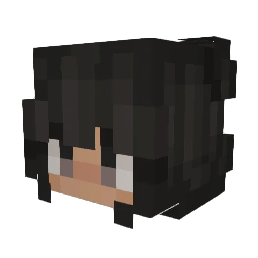 ayla2102 Minecraft avatar head, 3D render