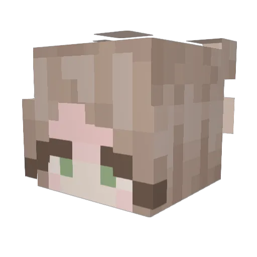 aylam123 Minecraft avatar head, 3D render