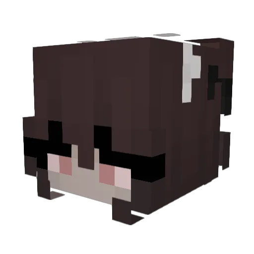ayliva Minecraft avatar head, 3D render