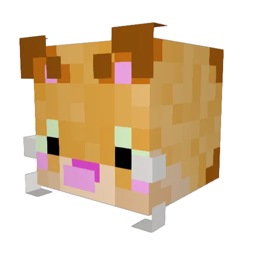 aylooooooon Minecraft avatar head, 3D render