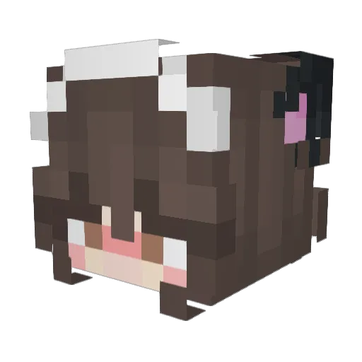 aymcoder Minecraft avatar head, 3D render