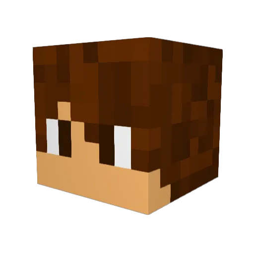 aynam Minecraft avatar head, 3D render