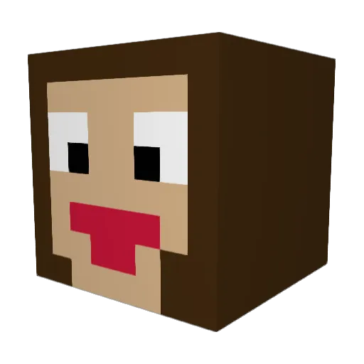 aynie Minecraft avatar head, 3D render