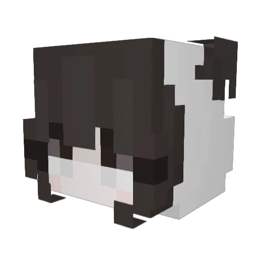 ayoei Minecraft avatar head, 3D render