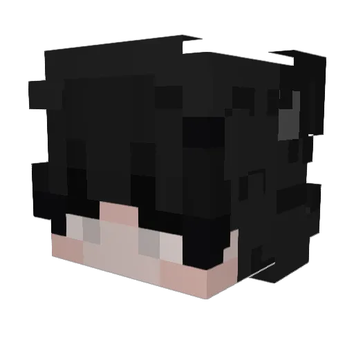 ayoitsj4y Minecraft avatar head, 3D render